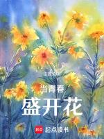 那朵青春要開花讀後感