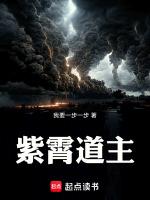 紫霄道主无错