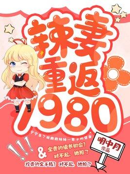 重生80辣妻有点钱