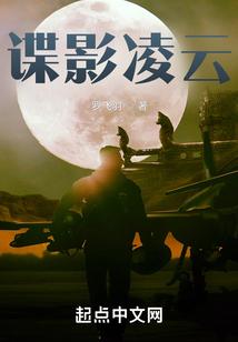 諜影淩雲無錯版