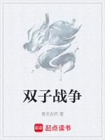 雙子戰紀