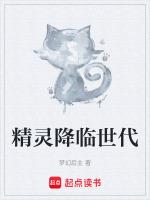 精灵宝可梦各世代