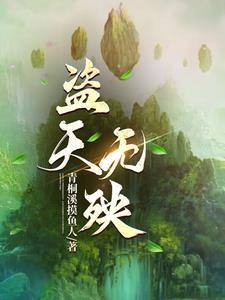 天盜什麼意思