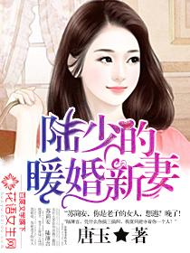 陆少的暖婚新妻正版