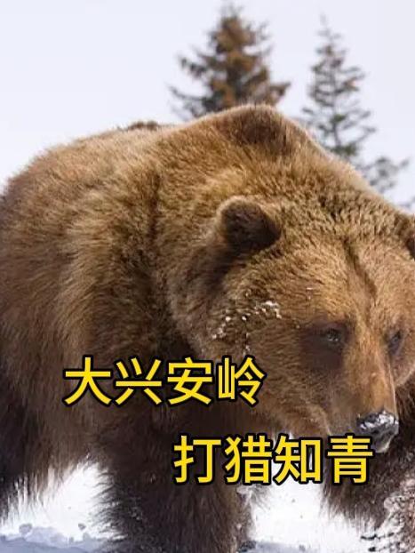 大興安嶺打獵知青txt