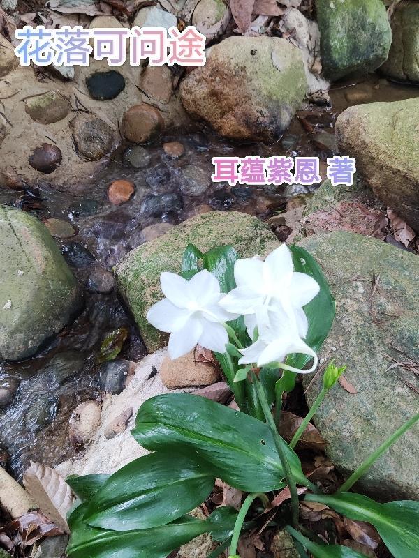 花落半知途