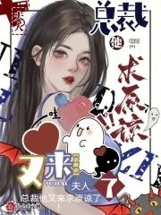 夫人又來複婚了