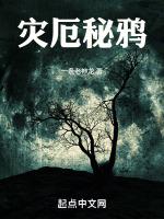 泰拉瑞亞災厄夜光