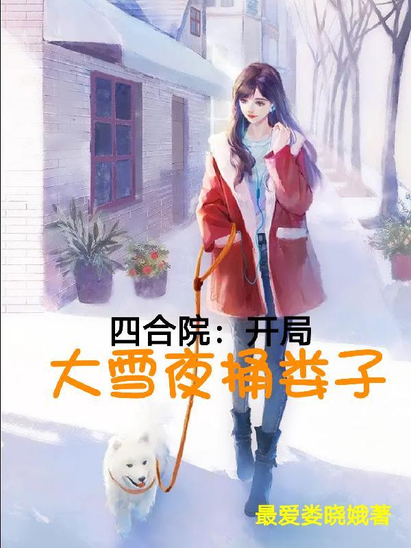 四合院：開局大雪夜捅婁子